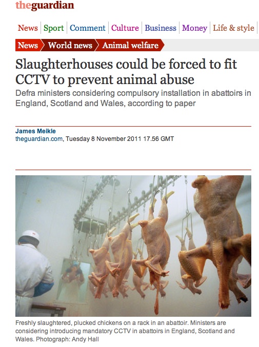 The campaign history | Slaughterhouse CCTV