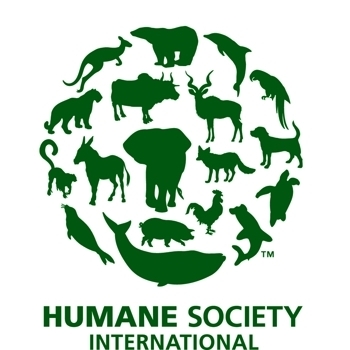 Humane society international internships in accenture